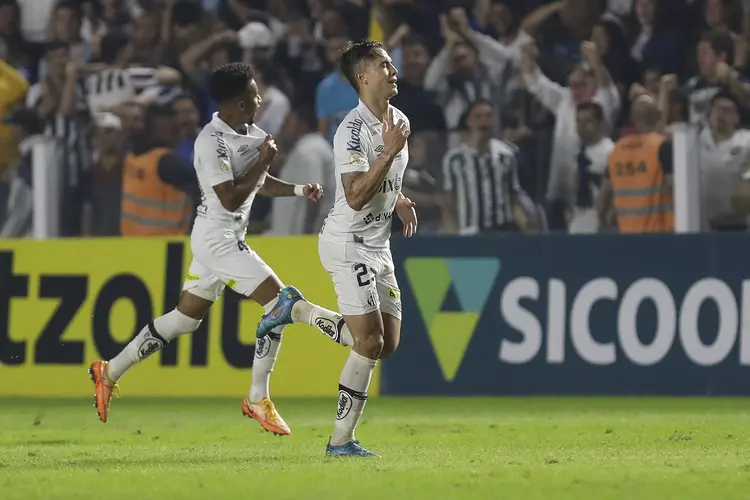 Após empate com o Avaí na última rodada, o Santos busca retomar o caminho das vitórias (Ricardo Moreira/Getty Images)