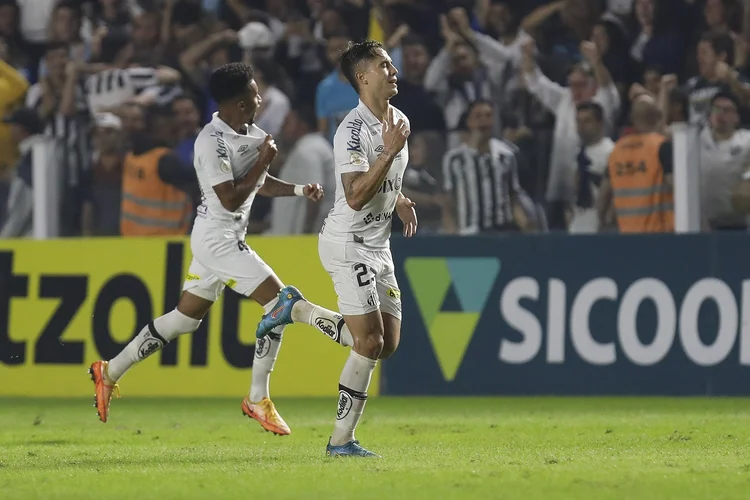 SANTOS, BRAZIL - JULY 02: Vinicius Zanocelo of Santos celebrates after scoring the first goal of his team during the match between Santos and Flamengo as part of Brasileirao Series A 2022 at Vila Belmiro Stadium on July 02, 2022 in Santos, Brazil. (Photo by Ricardo Moreira/Getty Images) (Ricardo Moreira/Getty Images)