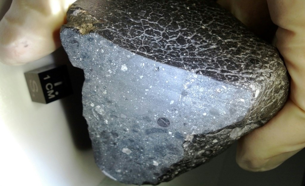 Corte do meteorito marciano NWA 7034, o "Black Beauty", descoberto no deserto do Saara (AFP/AFP Photo)