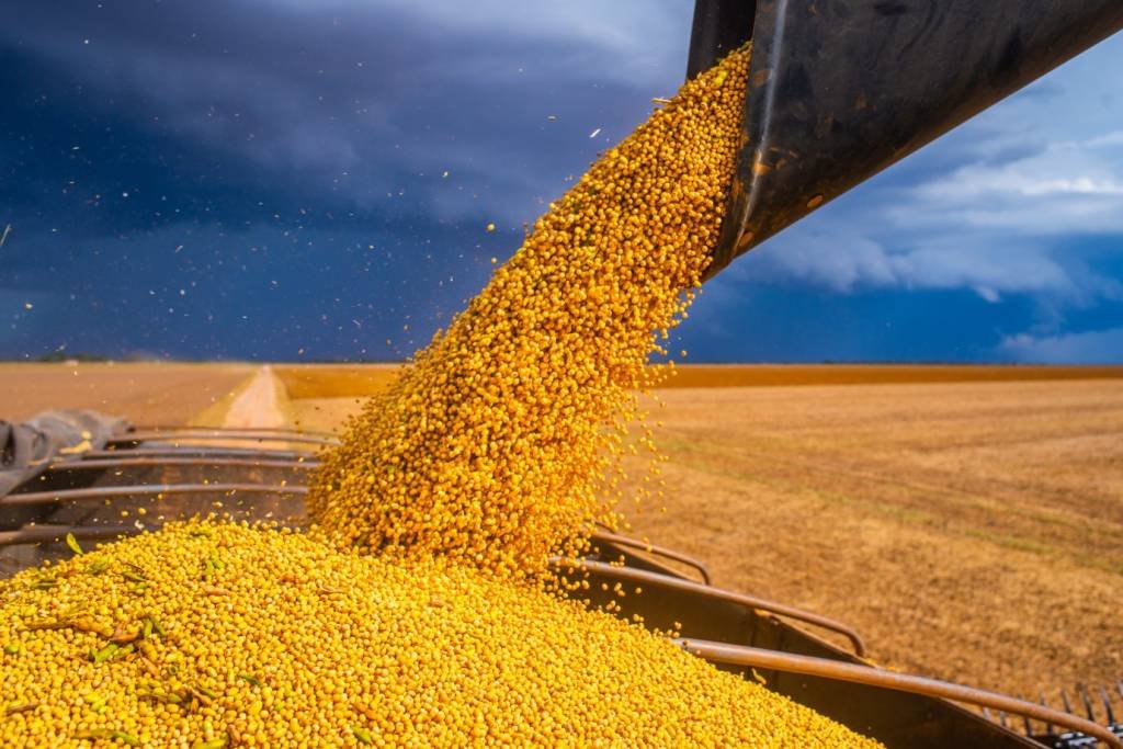 China prevê produção de 650 bilhões de kg de grãos em 2023