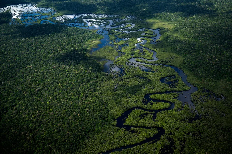 Buzanelli critica a politização do tema, e observa que muitas informações equivocadas vêm atrapalhando a discussão sobre a perfuração na bacia da Foz do Amazonas (MAURO PIMENTEL/Getty Images)