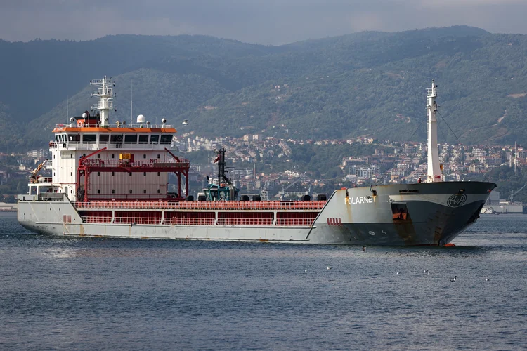 Ucrânia segue com exportação de grãos  (Anadolu Agency/Getty Images)