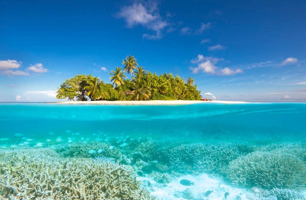 W Maldives 4 W Maldives