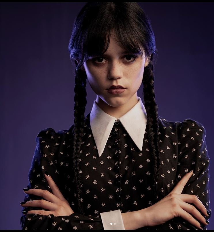 Wandinha  Série de Tim Burton sobre a Família Addams ganha data de estreia  pela Netflix - Cinema com Rapadura