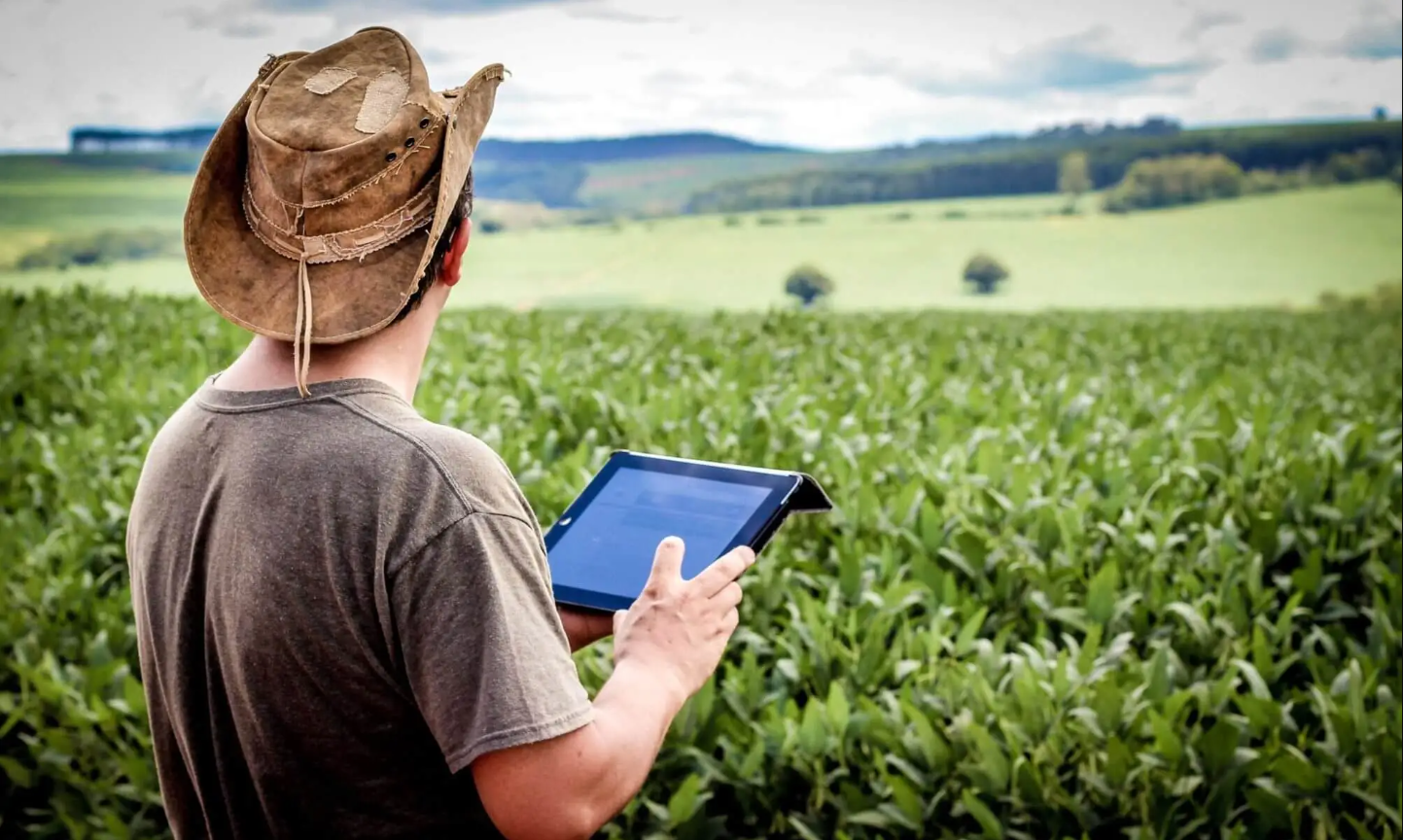 Senadores querem desonerar empresas para estimular acesso à internet no campo