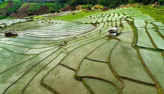 Maior lago da China sofre com a seca e afeta plantações de arroz