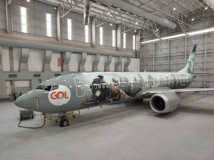 Boeing 737: aeronave temática da GOL levará fãs de Harry Potter a Orlando (@avioesinsolo/Divulgação)