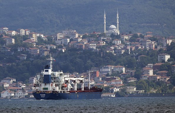 Navio de grãos da Ucrânia é inspecionado em Istambul (Isa Terli/Anadolu Agency via Getty Images/Getty Images)