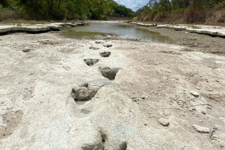 Localizado a sudoeste da cidade de Dallas, o parque ficava à beira de um antigo oceano (AFP/AFP)