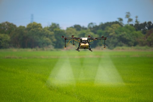 Estudo inédito mostra como reduzir perdas de fertilizantes