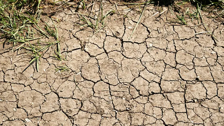Partes da União Europeia podem enfrentar mais três meses de condições mais quentes e secas (Getty Images/Getty Images)