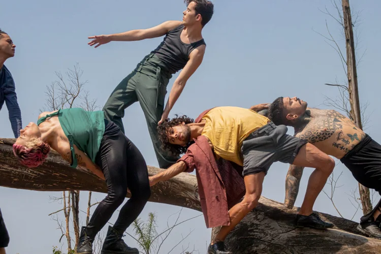 Formação em teatro abre portas para diversas carreiras criativas, como atuação, direção, produção cultural e até áreas como cinema e publicidade. (Marcele Selva /Reprodução)
