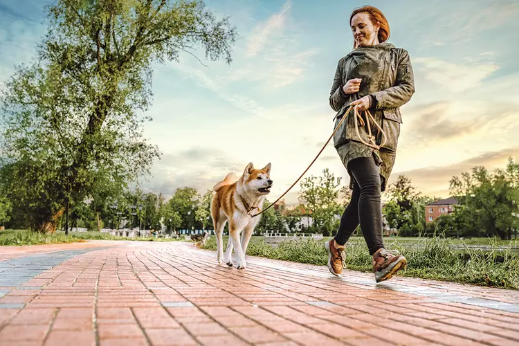 Passeio com o cachorro: lazer dentro da rotina de trabalho (Olga Rolenko/Getty Images)