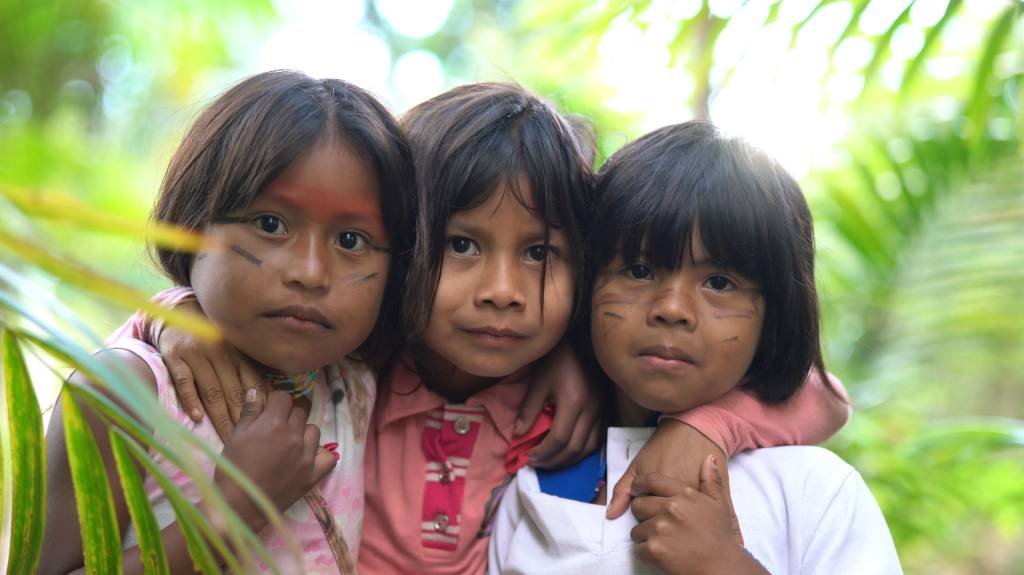 De janeiro a agosto de 2019, 16 crianças indígenas de Alto do Rio Purus, no Acre, morreram de diarreia (FG Trade/Getty Images)