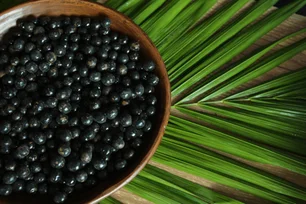 Imagem referente à matéria: Audiência da COP30 reúne produtores paraenses após veto ao açaí e outros alimentos locais