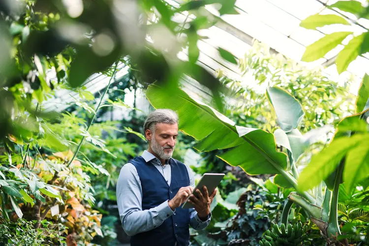 Mercado de agricultura digital deve movimentar mais de US$ 8 bi até 2026 (Halfpoint Images/Getty Images)