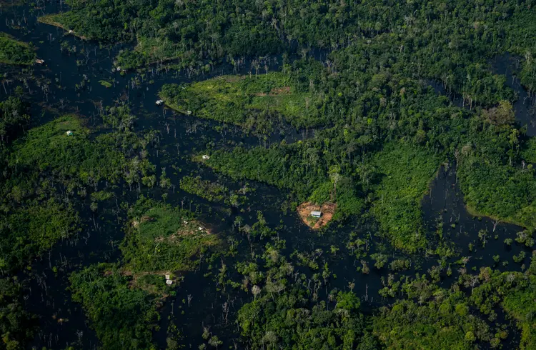 Aerial view of the Amazon rainforest taken from a plane flying from the city of Manicore to Manaus, Amazonas State, Brazil, on June 10, 2022. (Photo by Mauro PIMENTEL / AFP) (Photo by MAURO PIMENTEL/AFP via Getty Images) (MAURO PIMENTEL/Getty Images)