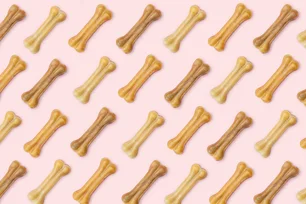 Imagem referente à matéria: Essa empresa de pet cresceu 6 vezes em 10 anos — e tem investimento bilionário no Brasil