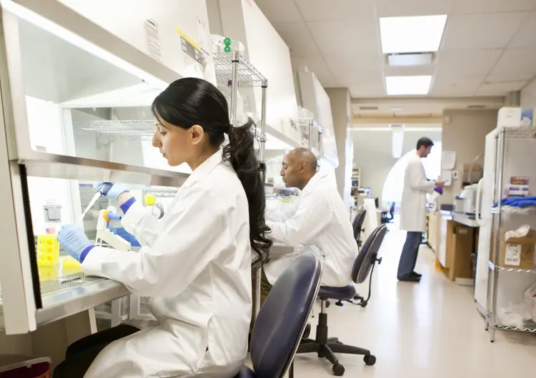 Cientistas clínicos trabalham em laboratórios de saúde, realizando testes e pesquisas (Getty Images/Getty Images)