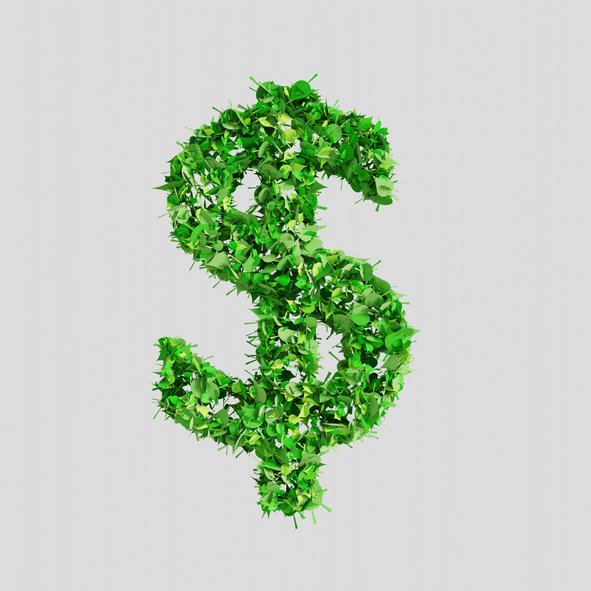 Marketing Verde: Como O Greenwahsing Vai Na Contramão Do ESG? | Exame