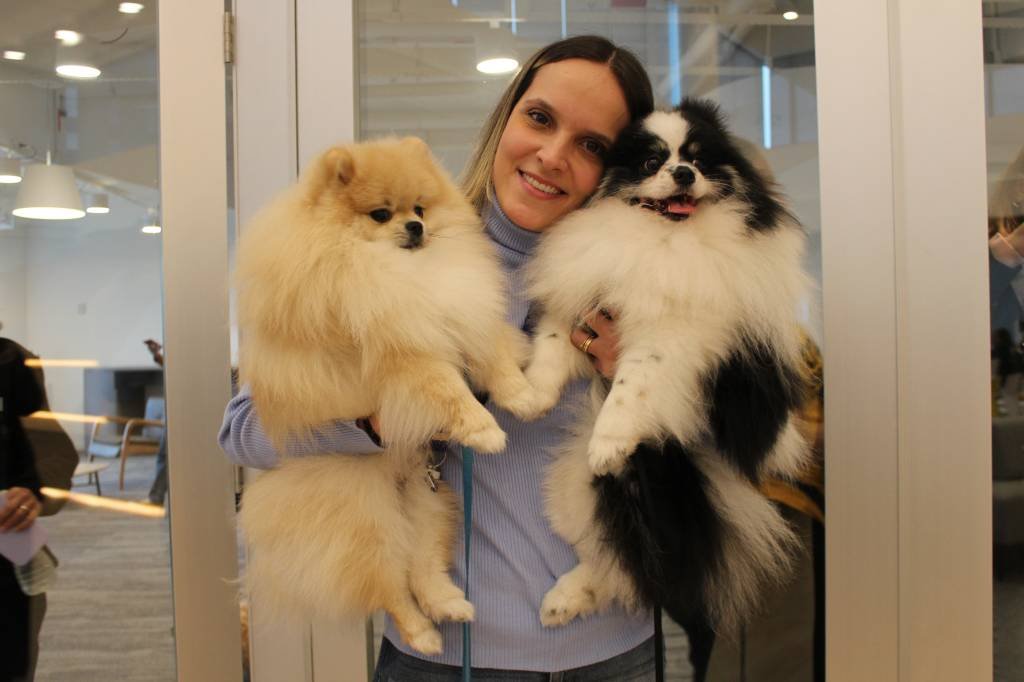 Na Roche, funcionários levam seus cachorros ao escritório como política de bem-estar; veja fotos