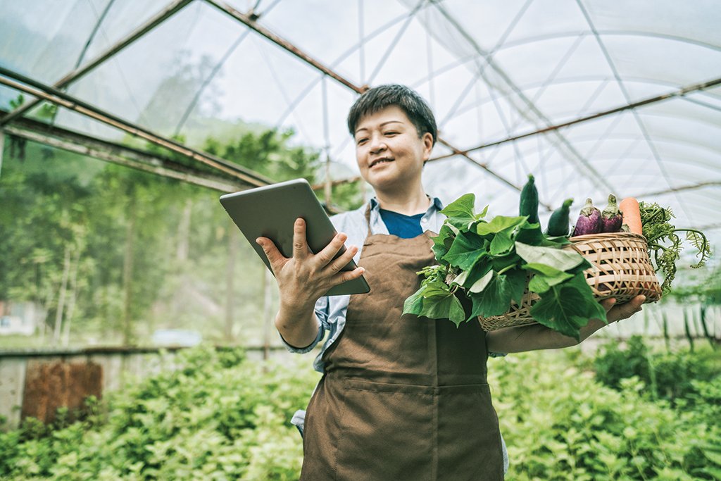 A importância dos ecossistemas digitais para sobreviver ao futuro