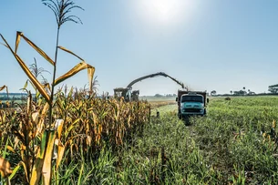 Exportações do agronegócio alcançam recorde de US$ 15,24 bilhões em abril