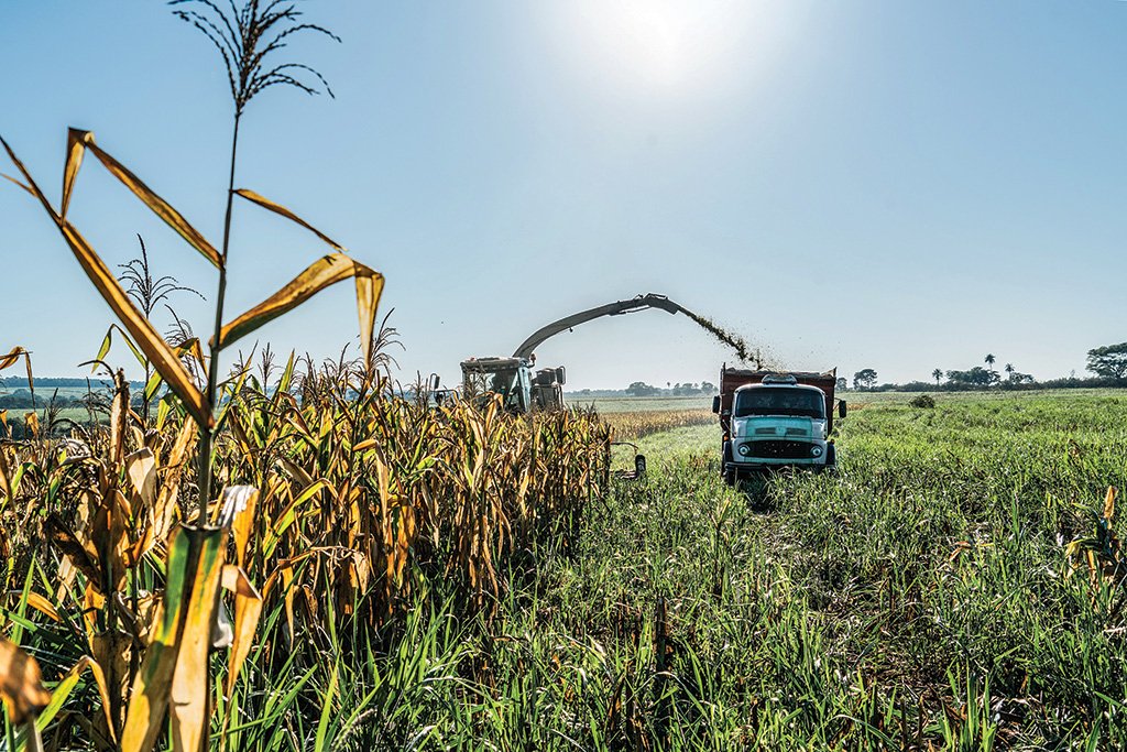 Após Goiás, governo do Paraná propõe projeto que inclui "taxa do agro"