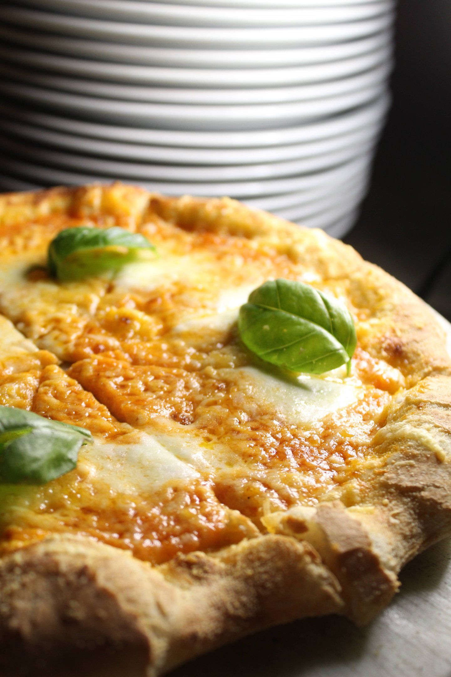 Negroni_Margherita_Divulgacao