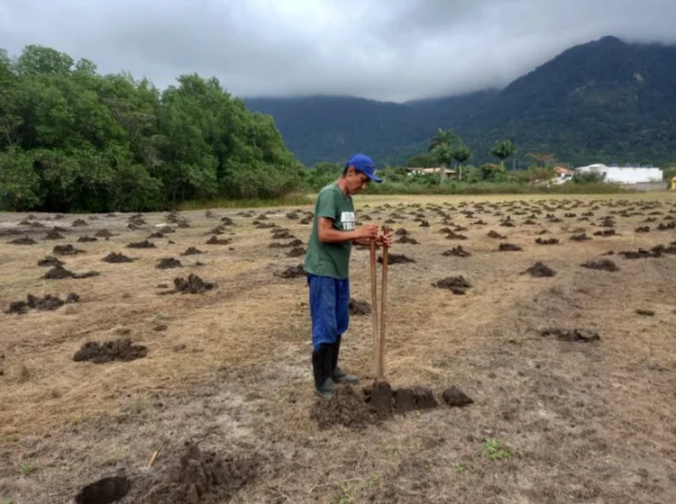 Projeto prevê reflorestamento com espécies nativas da mata atlântica (Bússola/Divulgação)