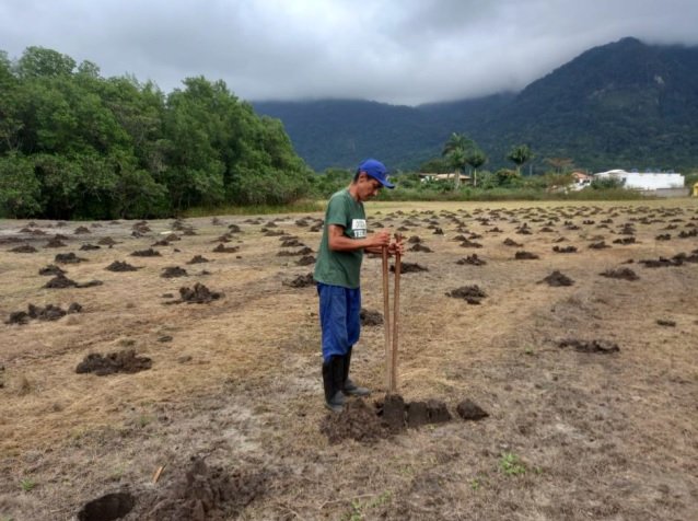 Karpowership e Itaguaí concluem programa inédito de reflorestamento