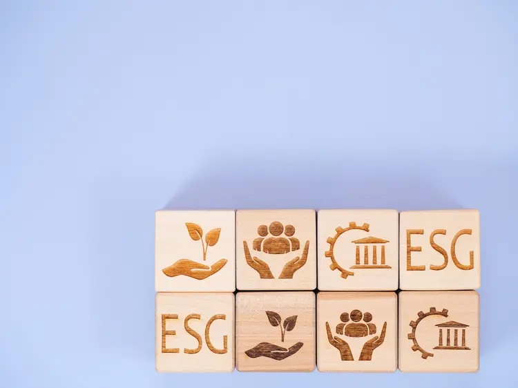 ESG: sigla em inglês para ambiental, social e governança (AleksandrVS/Getty Images)