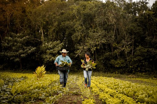 Pesquisa mostra que 68% dos brasileiros associam o campo à geração de riqueza