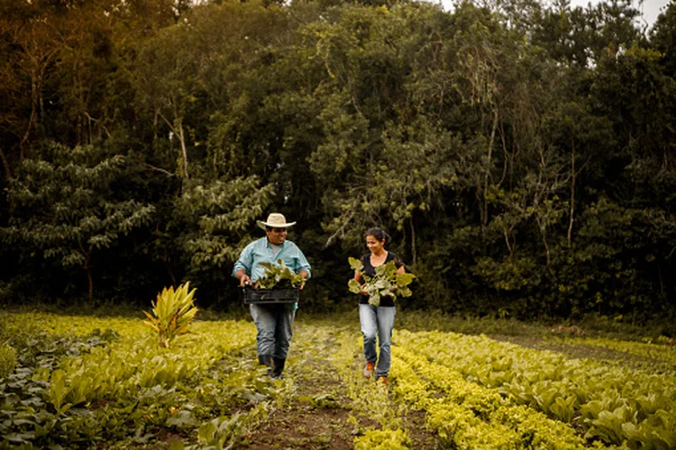 Produtor rural: pesquisa avalia opinião dos brasileiros sobre o agro (Getty Images/Getty Images)