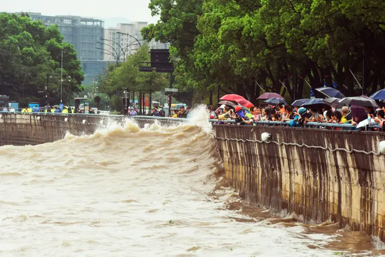 Ciclone: tufão Muifa afetou a costa de Hangzhou, leste da China. (AFP/AFP)