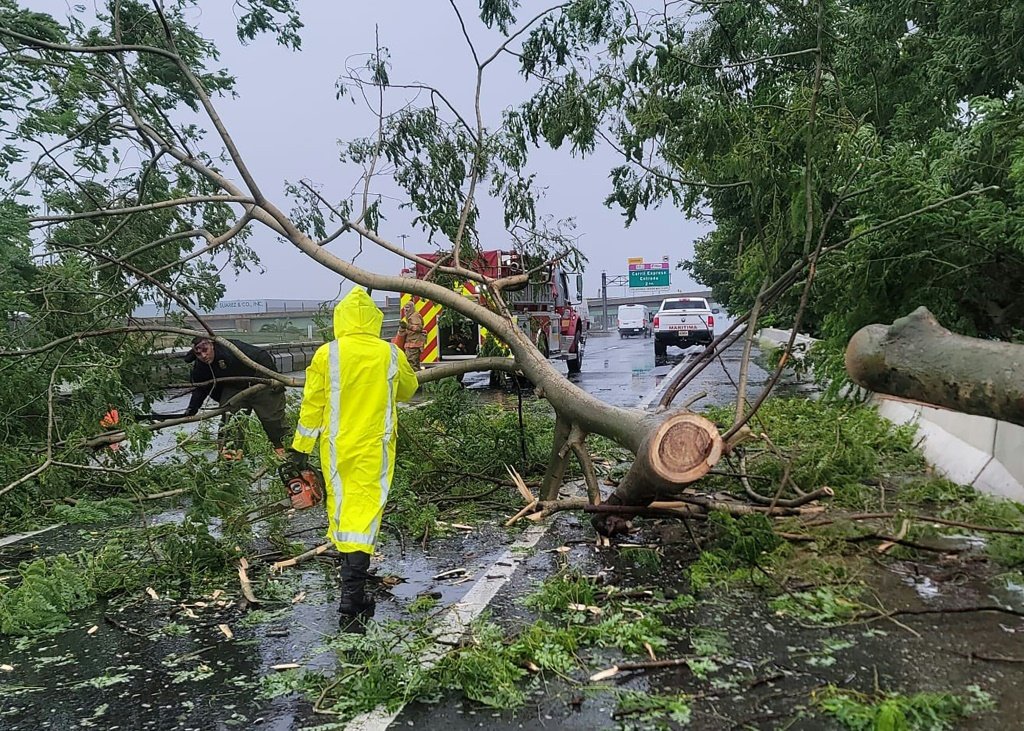 Bombeiros tentam remover árvores caídas em Puerto Rico, derrubadas pelo furacão Fiona (AFP/AFP)