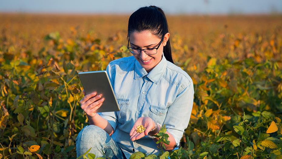 Com direito a certificado, EXAME libera 4 aulas de formação completa em agronegócio gratuitamente
