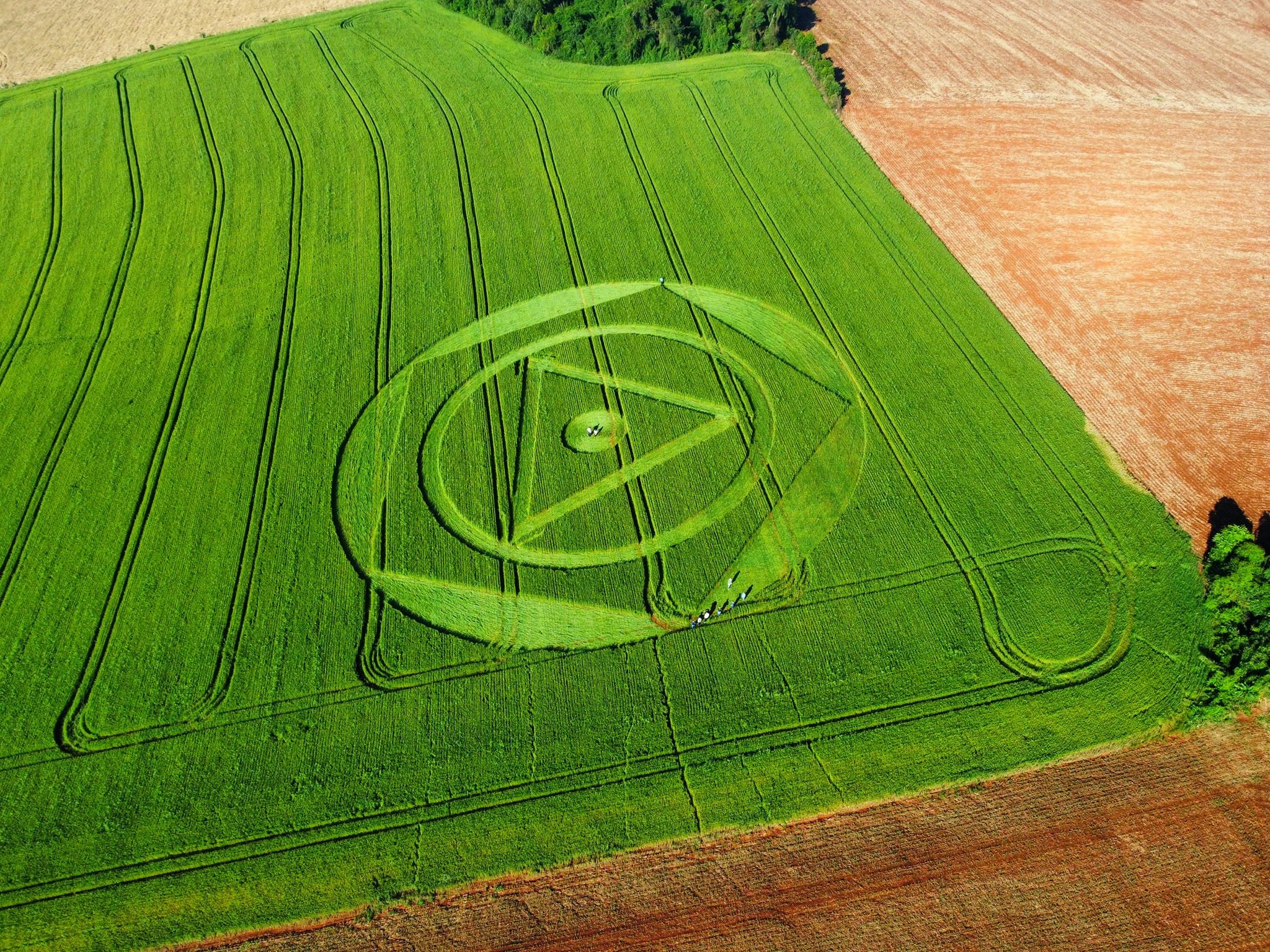 Agroglifos: entenda os desenhos "misteriosos" que aparecem em plantação de SC