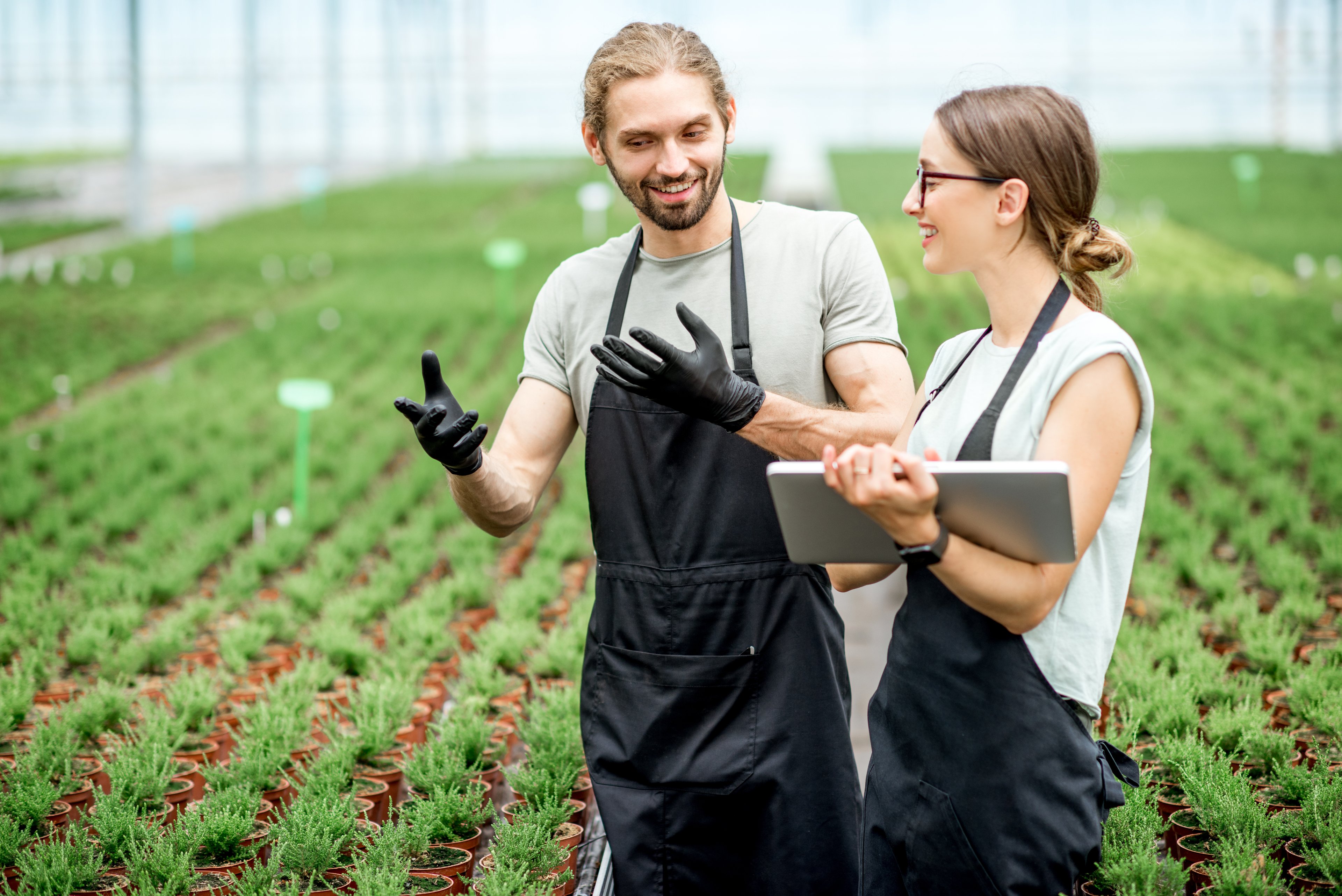 Matrículas abertas: EXAME e Agroadvance lançam formação inédita em agronegócio digital