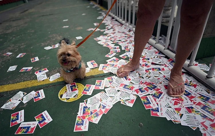 Cachorro passeia durante as eleições no Brasil: taxa de registro é reembolsável e custa 200 dólares canadenses (CARL DE SOUZA/AFP/Getty Images)