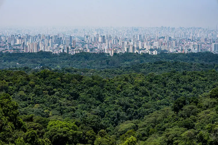 View of São Paulo from Serra da Cantareira (Lucas Ninno/Divulgação)