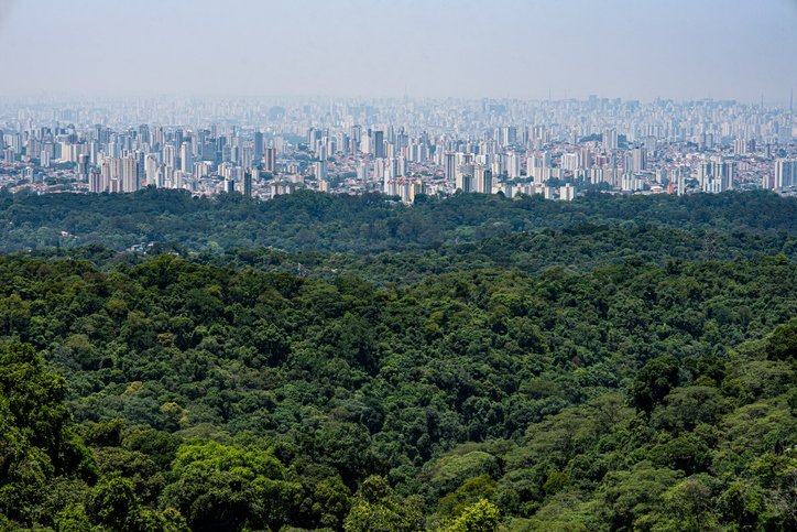Você sabe quanto resta de floresta de Mata Atlântica no Brasil?