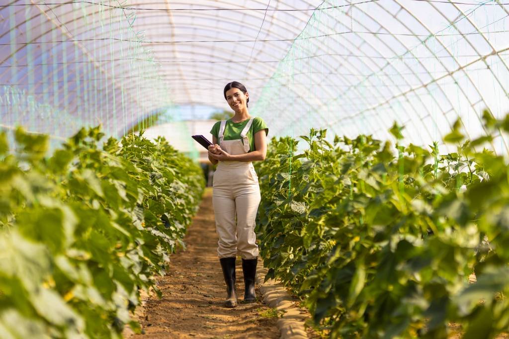 Emprego no agro: setor representa 19,35% dos trabalhadores do país. (Getty Images/Getty Images)
