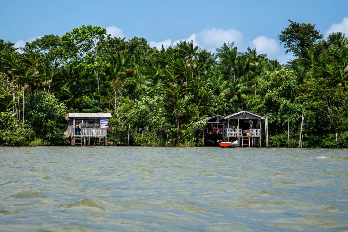 Abaetuba no Pará - Amazonia -Foto: Leandro Fonsecadata: outubro 2022