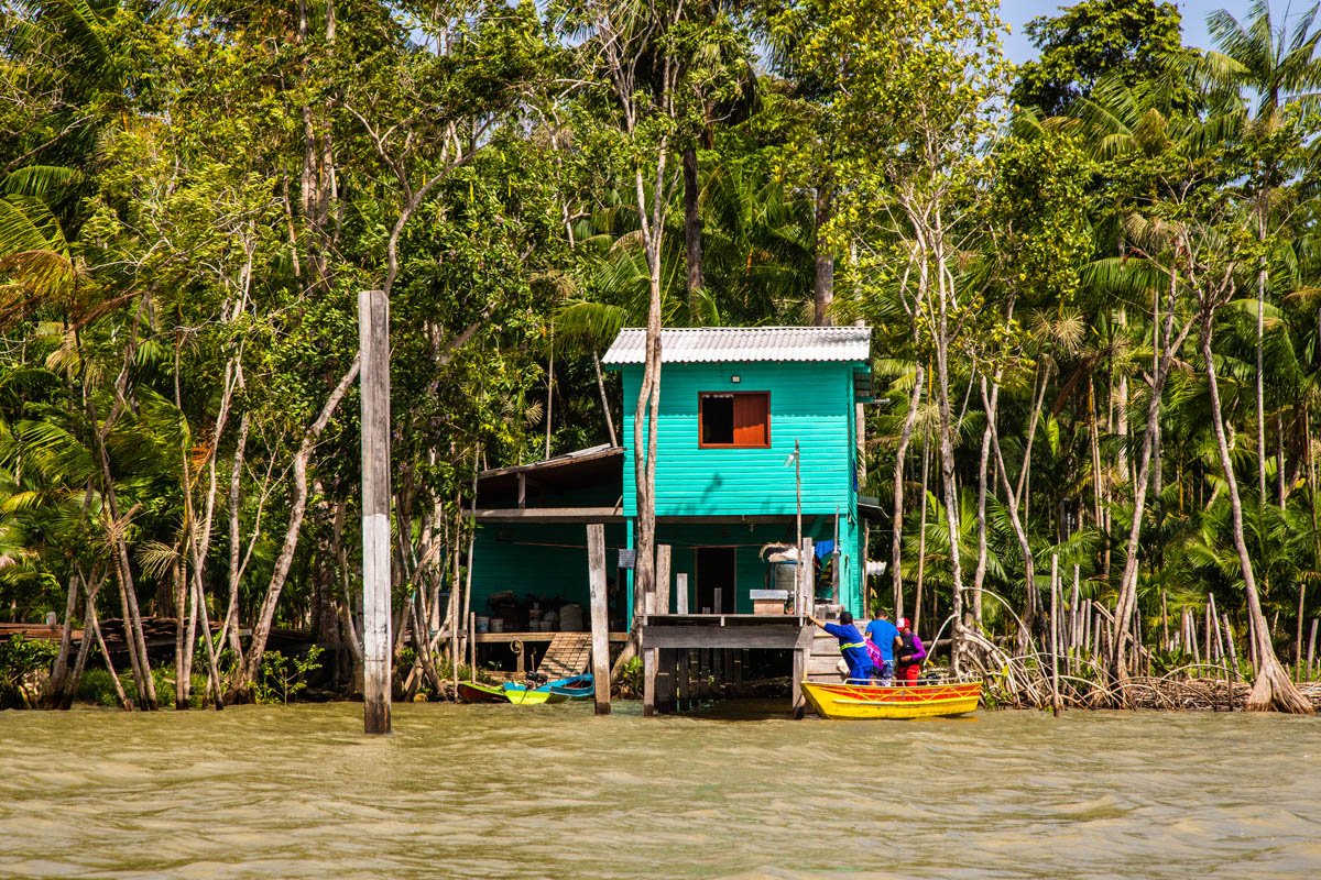 Abaetuba no Pará - Amazonia -Foto: Leandro Fonsecadata: outubro 2022