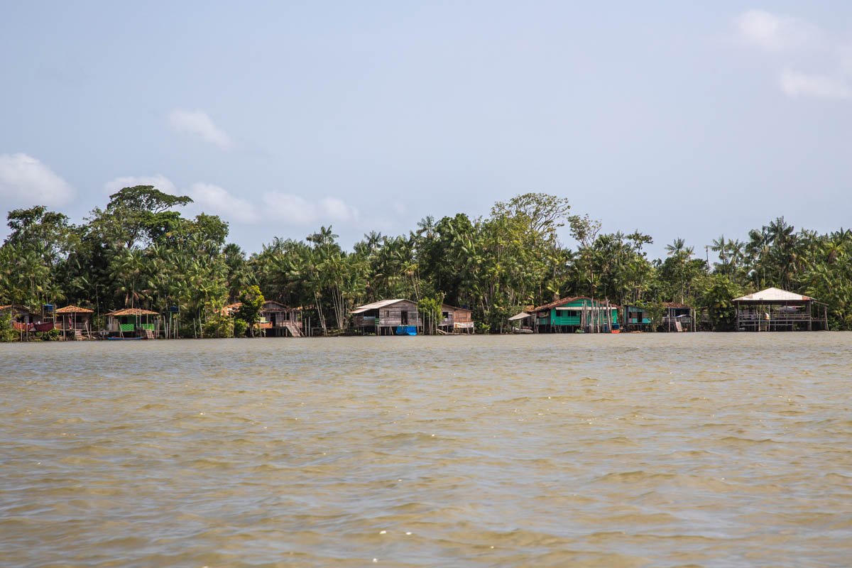 Abaetuba no Pará - Amazonia -Foto: Leandro Fonsecadata: outubro 2022