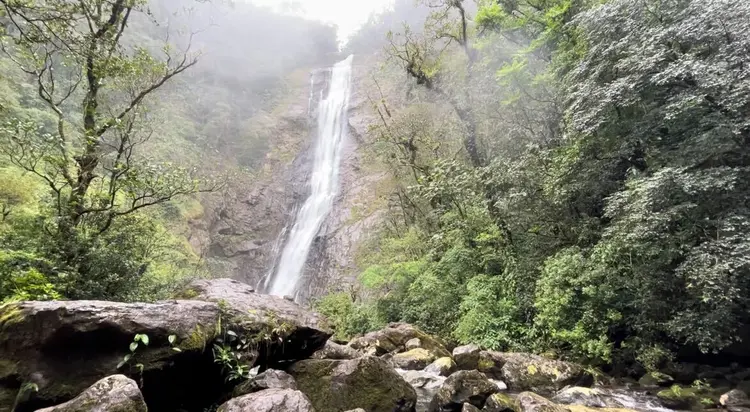 Reserva Natural Salto Morato, administrada pela Fundação Grupo Boticário (Fernanda Bastos/Exame)