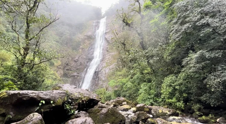 Reserva Natural Salto Morato, administrada pela Fundação Grupo Boticário (Fernanda Bastos/Exame)