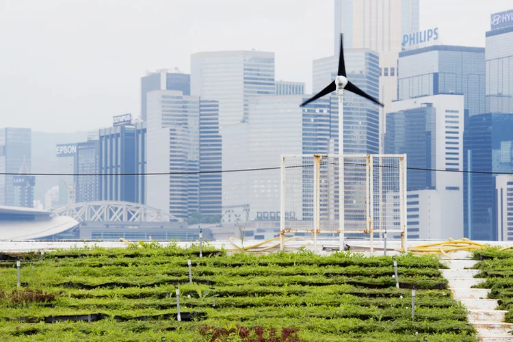 This is a horizontal, color photograph of an urban farm in Central Hong Kong. Rows of green vegetables fill the foreground. A small wind turbine stands in front of the city skyline. (Getty/Getty Images)