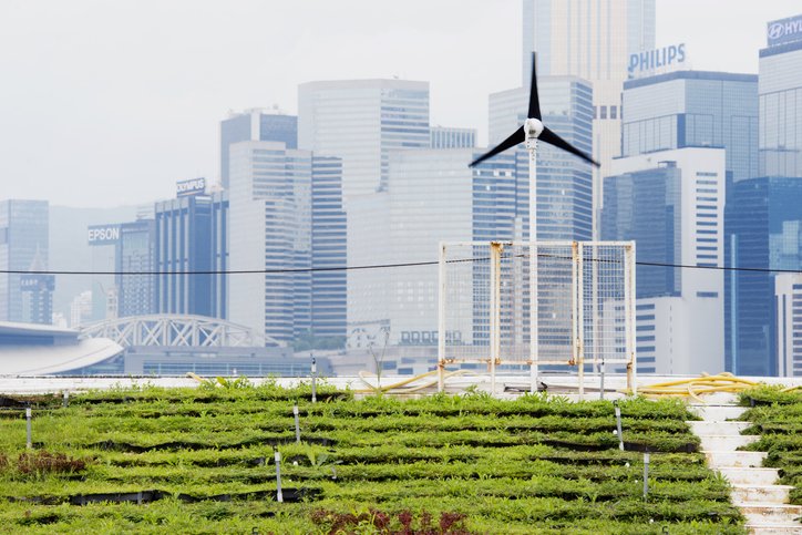 This is a horizontal, color photograph of an urban farm in Central Hong Kong. Rows of green vegetables fill the foreground. A small wind turbine stands in front of the city skyline. (Getty/Getty Images)